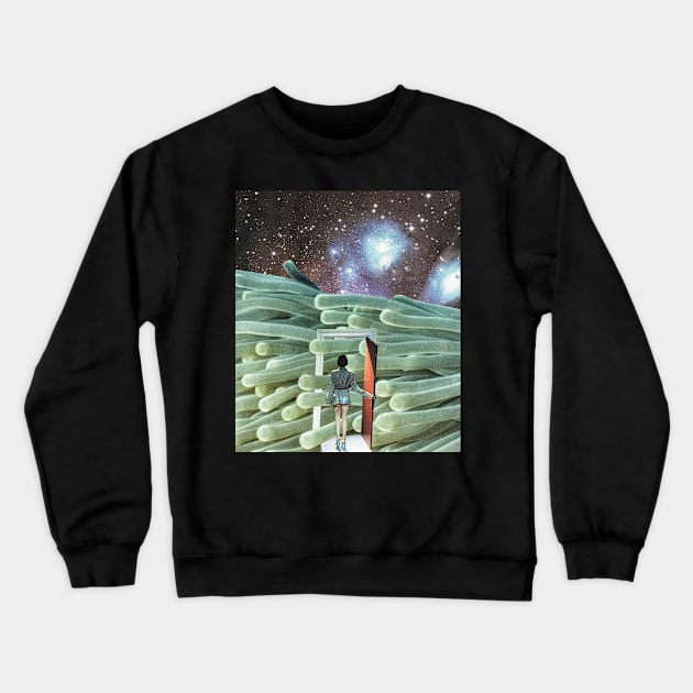 Discovery Crewneck Sweatshirt by superwhoart